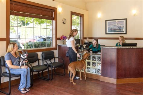 mountain view animal hospital and holistic pet care reviews|mountain view animal hospital washington.